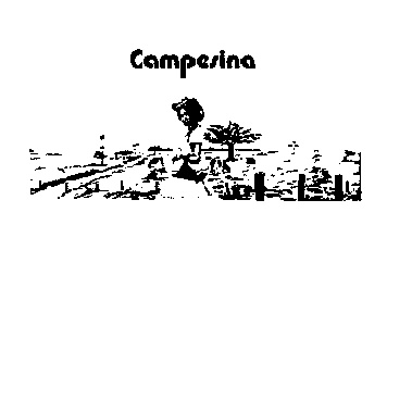 http://grafico.sapi.gob.ve/marcas/ef1975/1975003407.jpg