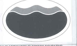 http://grafico.sapi.gob.ve/marcas/ef2003/2003000007.jpg